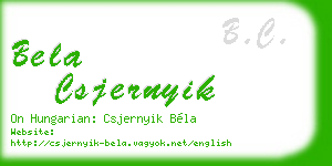 bela csjernyik business card