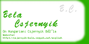 bela csjernyik business card